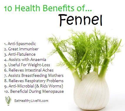 10 Health Benefits of Fennel. by mandy | Food health benefits, Benefits ...