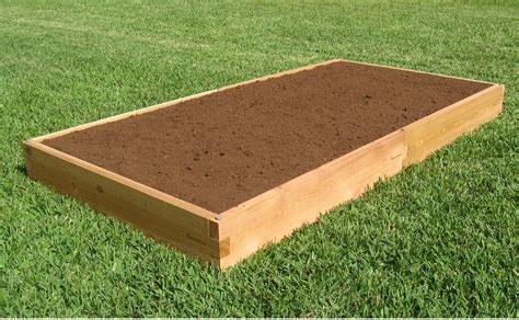 4X8 Garden Bed Layout / It is so tightly packed with various vegetables ...