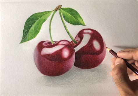 One of my latest drawings of cherries with prismacolor pencils which took me about two hours to ...