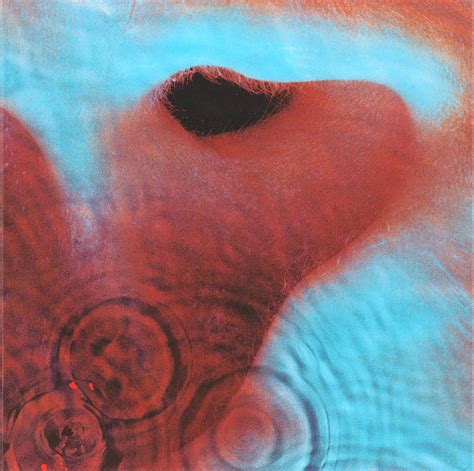 1971 Pink Floyd - Meddle - Jacek Borawski