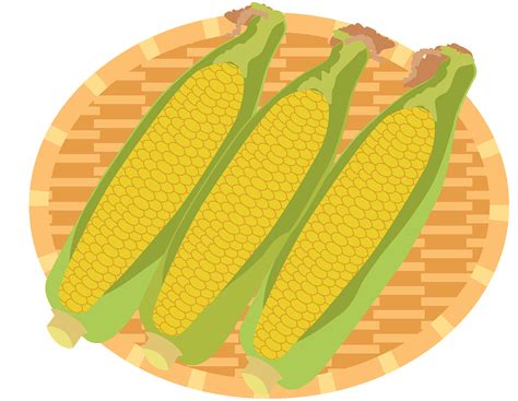 Indian Harvest Corn Maize - Indian Corn Clipart - Free Transparent - Clip Art Library