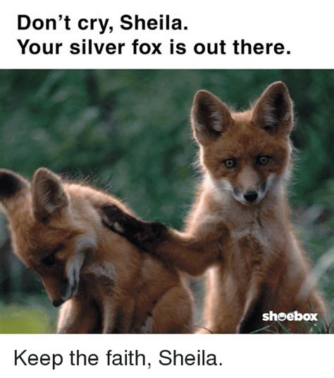 15 Top Fox Meme Jokes Images and Pictures | QuotesBae