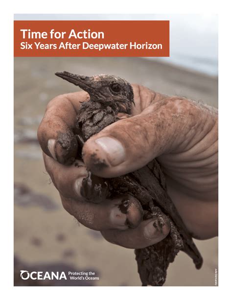 Time for Action: Six Years After Deepwater Horizon - Oceana USA