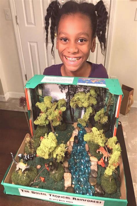 Full tutorial on an easy DIY tropical rainforest diorama for elementary school projects… in 2020 ...