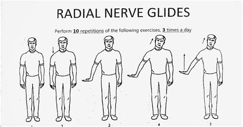 rasa yoga cafe...: Radial Nerve Glide Exercise.