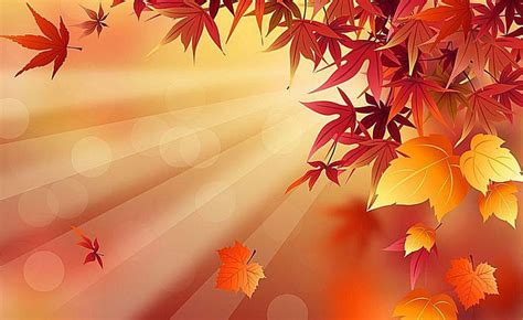 38 Free Fall Wallpapers and Backgrounds for All Your Devices | Free ...