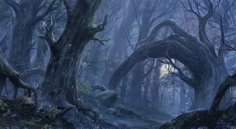 Enchanted Forest Backgrounds Free Download | PixelsTalk.Net