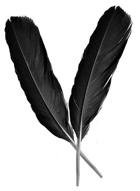 Two raven feathers – Artofit