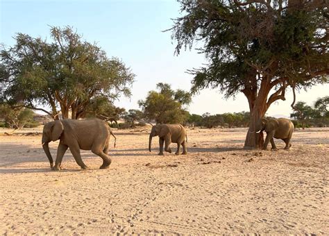 THE BEST OF DAMARALAND NAMIBIA: LANDSCAPES AND WILDLIFE