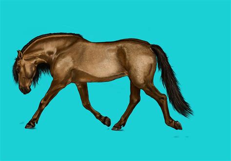 Download Horse, Digital Painting, Digital Artwork. Royalty-Free Stock ...