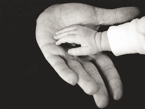 Dad Holding Baby Hand Free Stock Photo - Public Domain Pictures