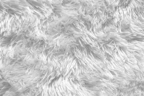 White Shag carpet texture stock photo. Image of design - 645972