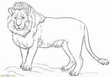 √30  Mewarnai Gambar Singa Untuk TK Paud SD Marimewarnaicom sketch template