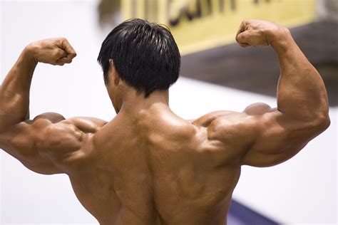 NPP Steroid: Dosage and Cycle Recommendations – Online Steroids UK Outlet