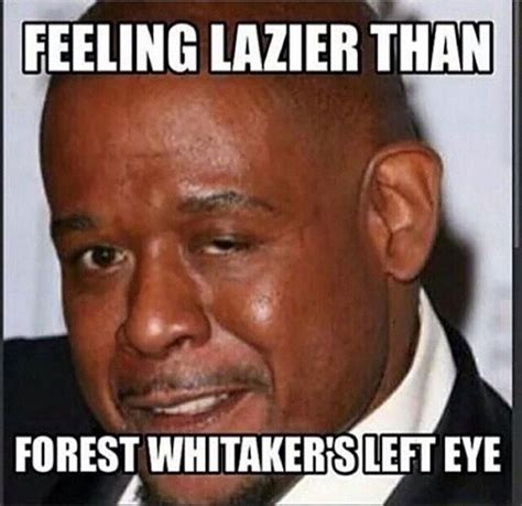 hahahaha | Just for laughs, Eyes meme, Feeling lazy