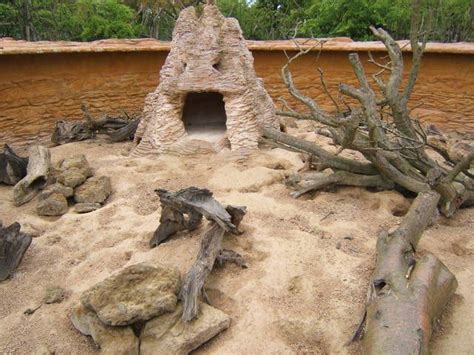 Meerkat enclosure » ZSL Whipsnade Zoo Gallery | Meerkat, Zoo architecture, Zoo