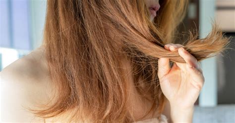 How to fix damaged hair, according to stylists