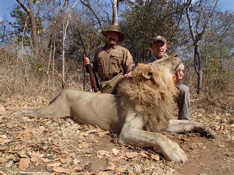 WANTED: Looking For Discounted Lion Hunt | AfricaHunting.com