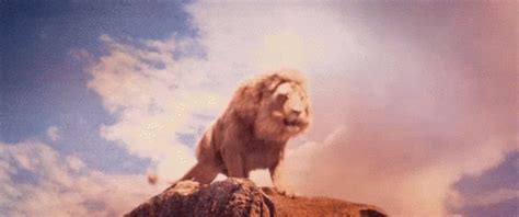 Roar Lion GIF - Roar Lion Scary - Descubre y comparte GIF