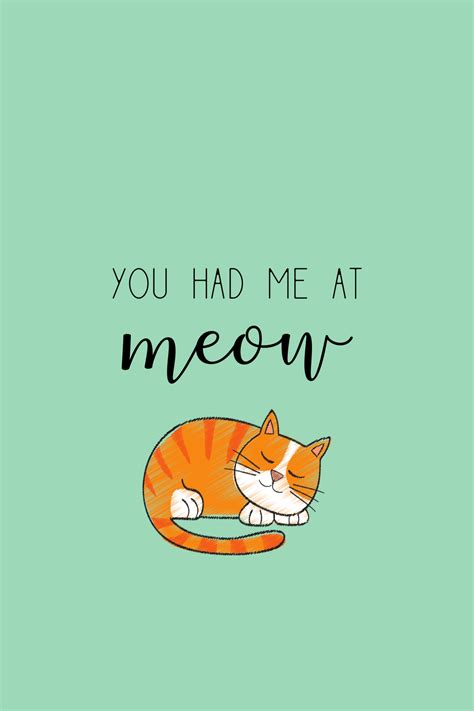 15 Short Cat Quotes {Cute and Funny for Cat Lovers!} | Cat quotes funny, Cat lover quote, Cute ...