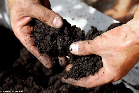 Soil, farming and science – introduction — Science Learning Hub