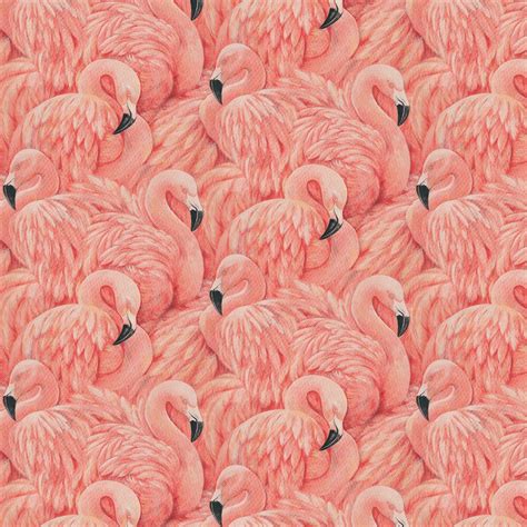 Vintage Flamingo Wallpapers - 4k, HD Vintage Flamingo Backgrounds on ...