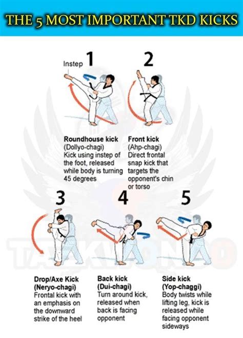 12f1e62d3a1b778257f4cf7b3549f06f.jpg (564×784) | Taekwondo techniken, Kampfkunsttechniken, Taekwondo