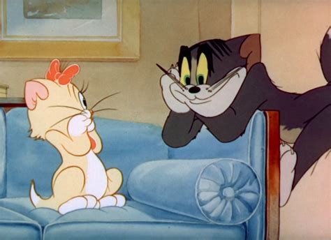 Image - Puss n' Toots - Tom stare at Toots.PNG | Tom and Jerry Wiki ...