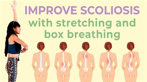 10 Min Easy Standing Stretches for Scoliosis ♥ Daily Exercise (Upper Body) - YouTube