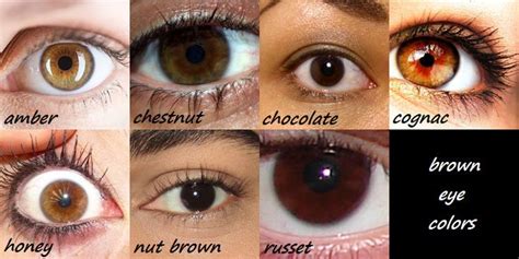 all about the human eye color chart ovo mod fashion - unusual eyes eye ...