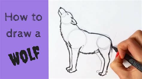 Beginners' - How to Draw a Wolf - YouTube