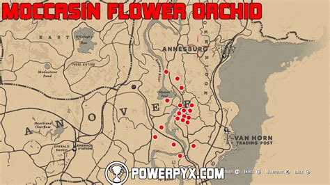 Red Dead Redemption 2 All Exotics Locations