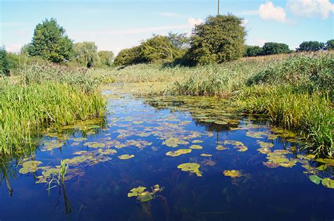 Walks in East Yorkshire - Pocklington Canal, Bielby Lock, Melbourne and Allerthorpe