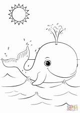 Cute Orca Whale Coloring Page Pages sketch template