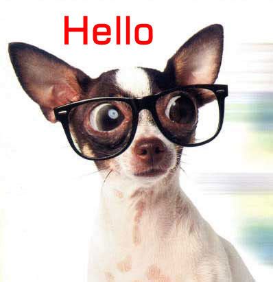 Hello Dog With Glasses :: Hello! :: MyNiceProfile.com