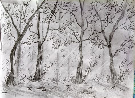 Tarang...: Random Pencil Sketches: Pathway, Forest and Human Figures