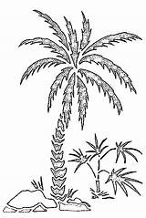Free Printable Palm Tree Coloring Pages  Date sketch template