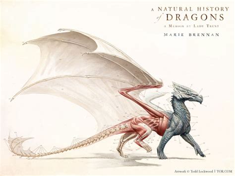 The Many Ways Tor Books Tries to Get Me to Read About Dragons | Tor.com