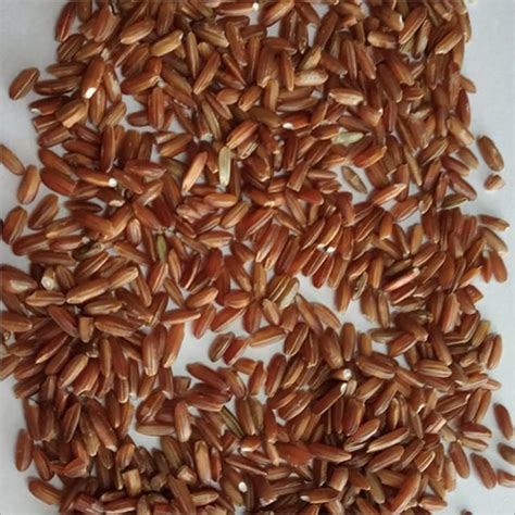 Fresh Organic Red Rice at Best Price in Lucknow | Prakrati Organic Food