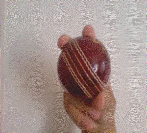 Bowling cricket tips: Cricket bowling tips techniques for beginners