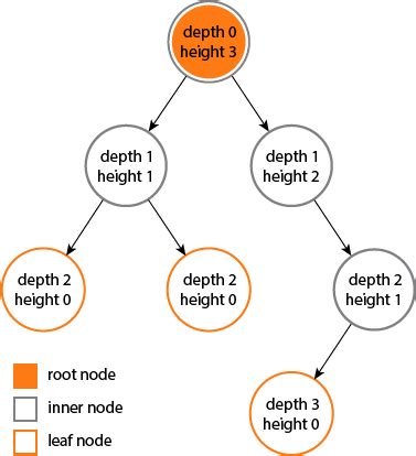 algorithm - What is the difference between tree depth and diameter? - Stack Overflow