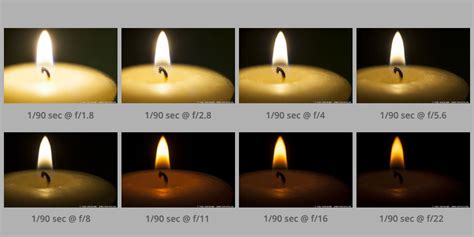 Photography Cheat Sheet 1: What is aperture and how does it work ...