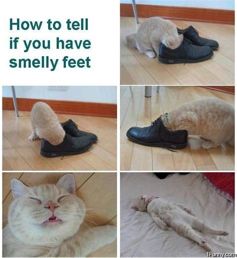 Smelly Feet - 1Funny.com