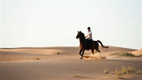 Desert Horse Riding Experience | Dubai | Scott Dunn