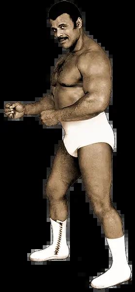 Rocky Johnson - History of Wrestling