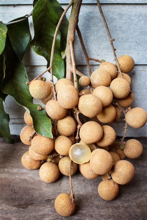 What is Longan? - Healthier Steps