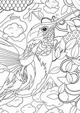 Adult Coloring Pages Animals  Best For Kids sketch template