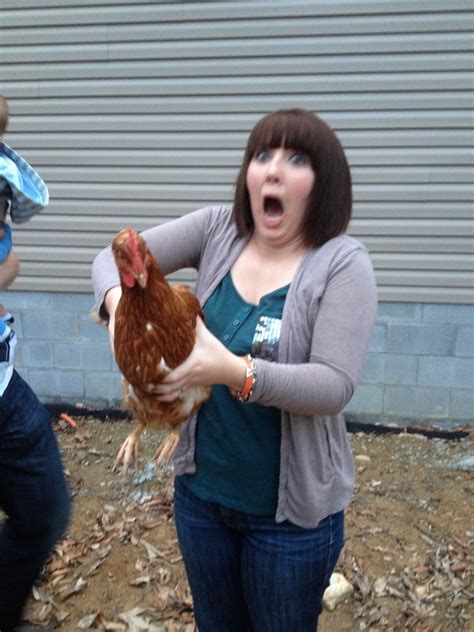 My wife has a deathly fear of chickens : funny