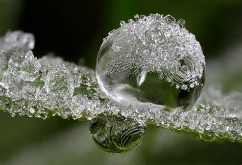 Frozen Dewdrop | Dew drop photography, Dew drops, Macro photography