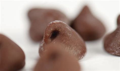 Chocolate-Dipped Cookies - Chocolate Covered Weekly